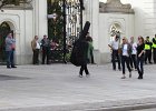 IMG 3805