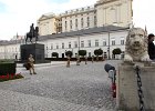 IMG 3846