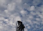 DSC03355