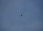 DSC03369