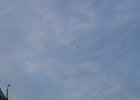 DSC03370