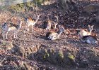 IMG 3917