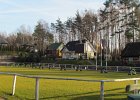 IMG 3921