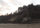 IMG 3975