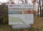 IMG 3981