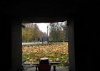 IMG 3988