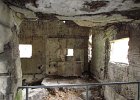 IMG 3990