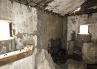 IMG 3991