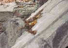IMG 3997