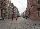 IMG 4041