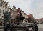 IMG 4042