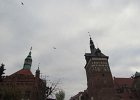 IMG 4058