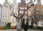 IMG 4060