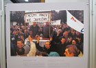 IMG 4116