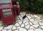 IMG 4130