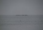 IMG 4135