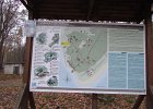 IMG 4146