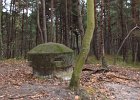 IMG 4148