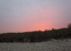 IMG 4151