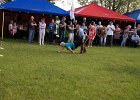DSC06805