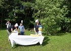 DSC00590