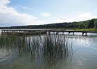 DSC00598