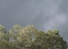 DSC00757
