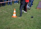DSC00979