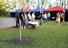 DSC01050