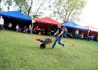 DSC01062