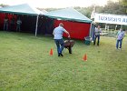 DSC01081