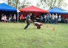 DSC01086
