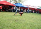 DSC01133