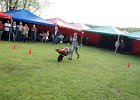 DSC01136