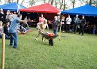 DSC01138
