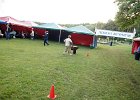 DSC01141