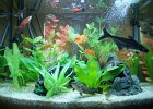 DSC00940