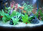 DSC00970