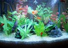 DSC00978