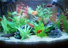 DSC00989