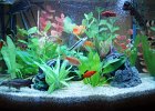 DSC00990