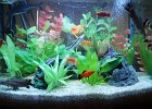 DSC00991