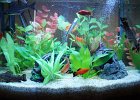 DSC00995