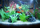 DSC01019