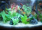 DSC01096